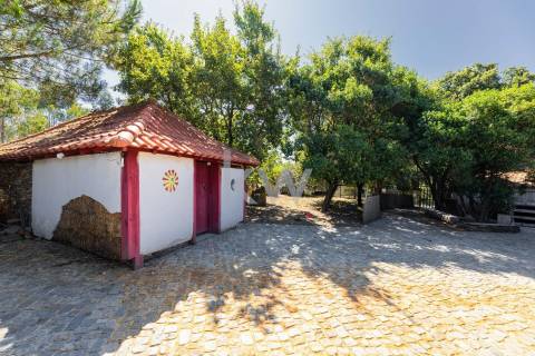 Quinta recatada com piscina num lote de 4.000 m2 ajardinados com 2 casas