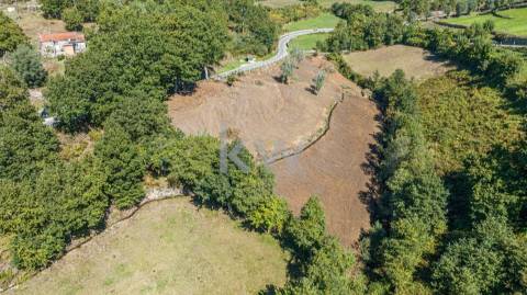 Moinho e dois artigos rústicos com ~10480M2 em Asnela - Cabeceiras de Basto