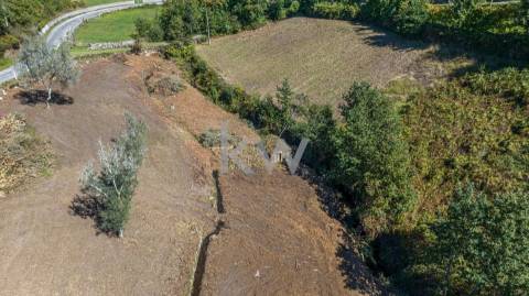 Moinho e dois artigos rústicos com ~10480M2 em Asnela - Cabeceiras de Basto