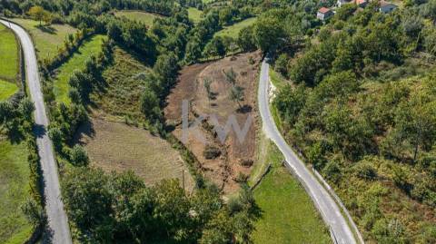 Moinho e dois artigos rústicos com ~10480M2 em Asnela - Cabeceiras de Basto