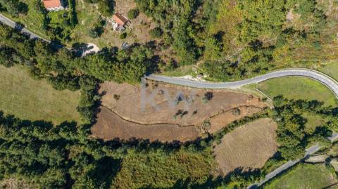 Moinho e dois artigos rústicos com ~10480M2 em Asnela - Cabeceiras de Basto
