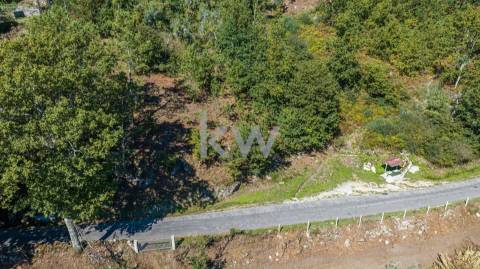 Moinho e dois artigos rústicos com ~10480M2 em Asnela - Cabeceiras de Basto