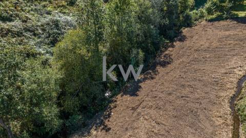 Moinho e dois artigos rústicos com ~10480M2 em Asnela - Cabeceiras de Basto