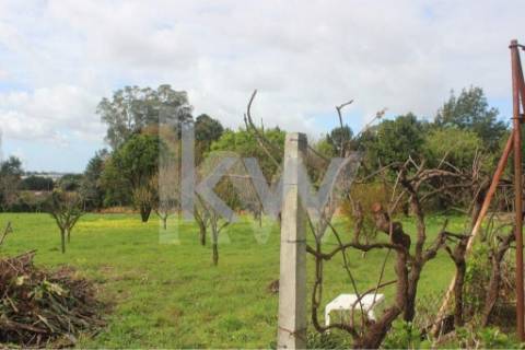 Terreno com 3325 m2 para construção de moradias Santiago da Riba-Ul, Oliveira de Azemeis