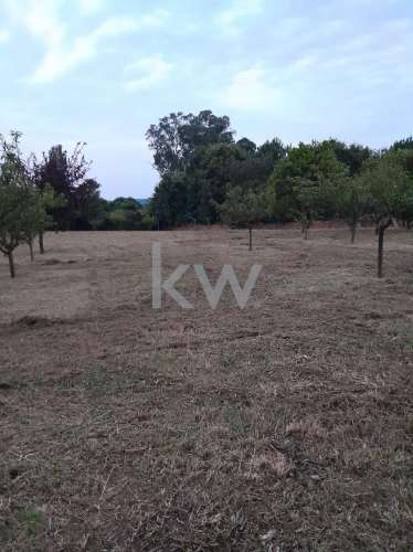 Terreno com 3325 m2 para construção de moradias Santiago da Riba-Ul, Oliveira de Azemeis