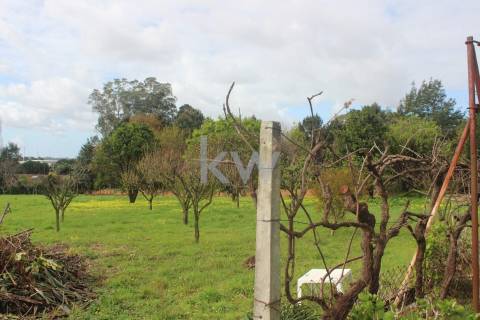 Terreno com 3325 m2 para construção de moradias Santiago da Riba-Ul, Oliveira de Azemeis