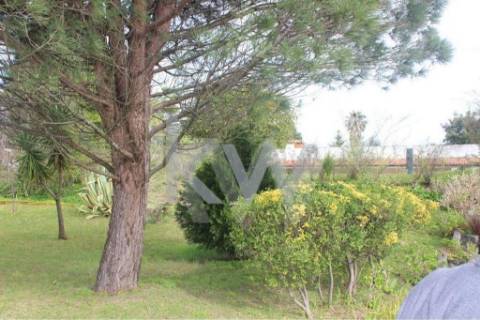 Moradia T6 em Santiago da Riba-UI com piscina e grande jardim