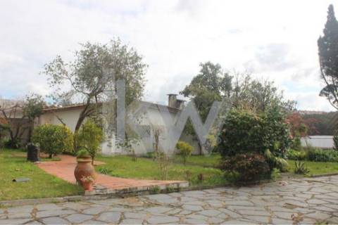 Moradia T6 em Santiago da Riba-UI com piscina e grande jardim