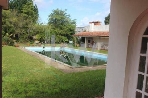 Moradia T6 em Santiago da Riba-UI com piscina e grande jardim