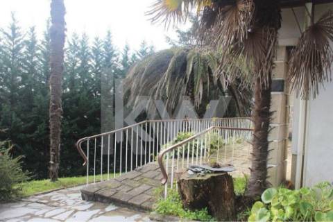 Moradia T6 em Santiago da Riba-UI com piscina e grande jardim