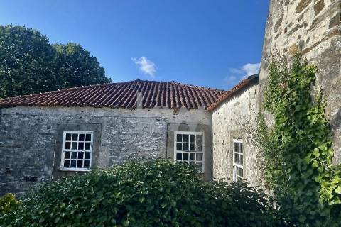 Quinta da Aveleira – Douro – Santa Marta de Penaguião