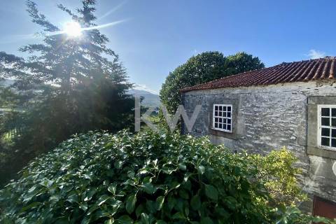 Quinta da Aveleira – Douro – Santa Marta de Penaguião