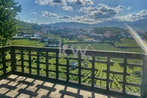 Quinta da Aveleira – Douro – Santa Marta de Penaguião