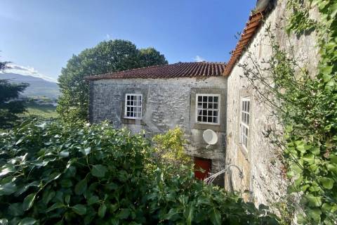 Quinta da Aveleira – Douro – Santa Marta de Penaguião