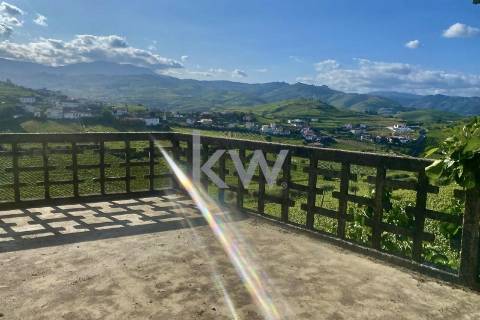 Quinta da Aveleira – Douro – Santa Marta de Penaguião