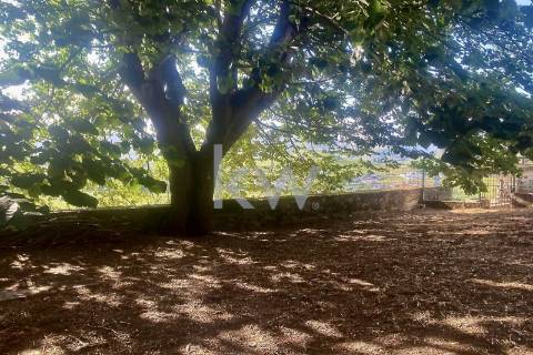 Quinta da Aveleira – Douro – Santa Marta de Penaguião