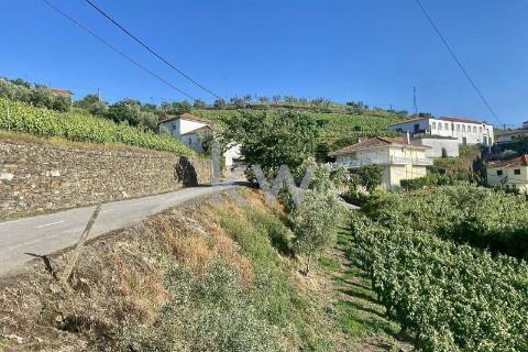 Quinta da Aveleira – Douro – Santa Marta de Penaguião
