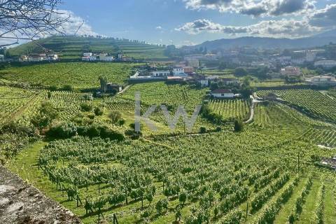 Quinta da Aveleira – Douro – Santa Marta de Penaguião