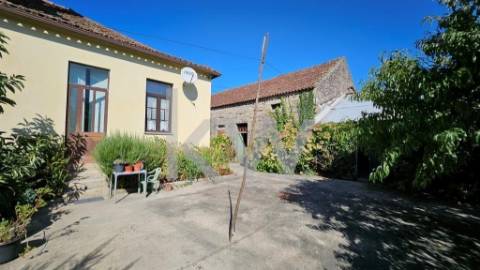 FANTÁSTICA QUINTA – 17 DIVISÕES INTERNAS - SANTIAGO DE BESTEIROS - TONDELA - VISEU