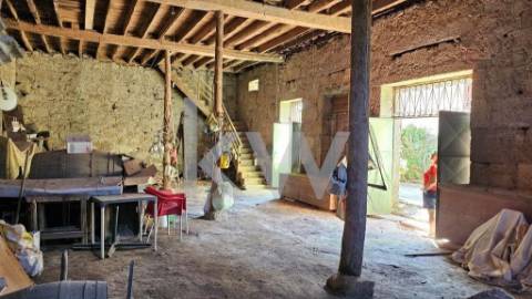 FANTÁSTICA QUINTA – 17 DIVISÕES INTERNAS - SANTIAGO DE BESTEIROS - TONDELA - VISEU