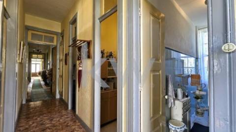 FANTÁSTICA QUINTA – 17 DIVISÕES INTERNAS - SANTIAGO DE BESTEIROS - TONDELA - VISEU