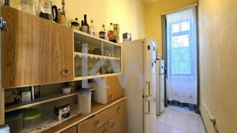 FANTÁSTICA QUINTA – 17 DIVISÕES INTERNAS - SANTIAGO DE BESTEIROS - TONDELA - VISEU