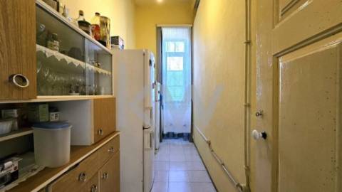 FANTÁSTICA QUINTA – 17 DIVISÕES INTERNAS - SANTIAGO DE BESTEIROS - TONDELA - VISEU