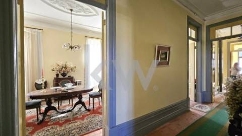 FANTÁSTICA QUINTA – 17 DIVISÕES INTERNAS - SANTIAGO DE BESTEIROS - TONDELA - VISEU