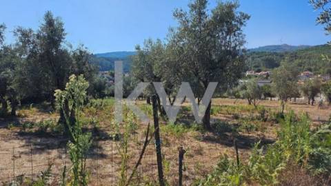 FANTÁSTICA QUINTA – 17 DIVISÕES INTERNAS - SANTIAGO DE BESTEIROS - TONDELA - VISEU