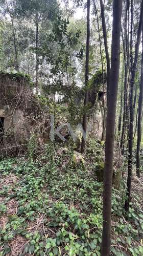 OPORTUNIDADE DE INVESTIMENTO - TERRENO COM 6.650 m2 PARA CONSTRUÇÃO RESIDENCIAL - GONDOMAR ( JOVIM) 