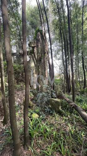 OPORTUNIDADE DE INVESTIMENTO - TERRENO COM 6.650 m2 PARA CONSTRUÇÃO RESIDENCIAL - GONDOMAR ( JOVIM) 