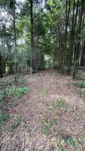 OPORTUNIDADE DE INVESTIMENTO - TERRENO COM 6.650 m2 PARA CONSTRUÇÃO RESIDENCIAL - GONDOMAR ( JOVIM) 