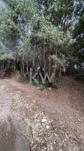 OPORTUNIDADE DE INVESTIMENTO - TERRENO COM 6.650 m2 PARA CONSTRUÇÃO RESIDENCIAL - GONDOMAR ( JOVIM) 