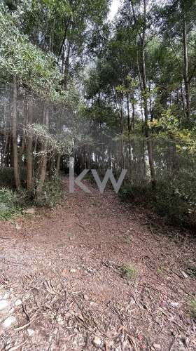 OPORTUNIDADE DE INVESTIMENTO - TERRENO COM 6.650 m2 PARA CONSTRUÇÃO RESIDENCIAL - GONDOMAR ( JOVIM) 