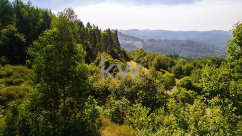 Terreno Rústico em Anjos com ~48800m2 - Vieira do Minho