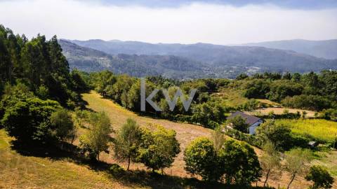 Terreno Rústico em Anjos com ~48800m2 - Vieira do Minho