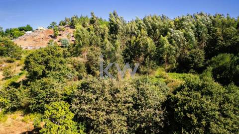 Terreno Rústico em Anjos com ~48800m2 - Vieira do Minho