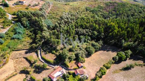 Terreno Rústico em Anjos com ~48800m2 - Vieira do Minho