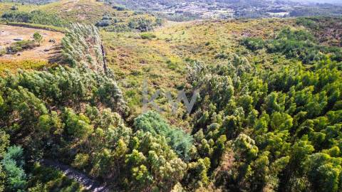 Terreno Rústico em Anjos com ~48800m2 - Vieira do Minho