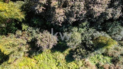 Terreno Rústico em Anjos com ~48800m2 - Vieira do Minho