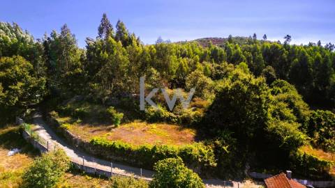 Terreno Rústico em Anjos com ~48800m2 - Vieira do Minho