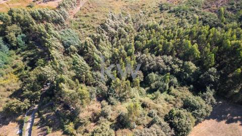 Terreno Rústico em Anjos com ~48800m2 - Vieira do Minho