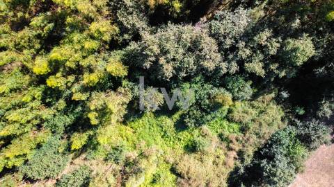 Terreno Rústico em Anjos com ~48800m2 - Vieira do Minho