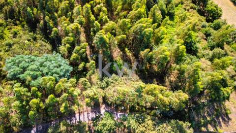 Terreno Rústico em Anjos com ~48800m2 - Vieira do Minho