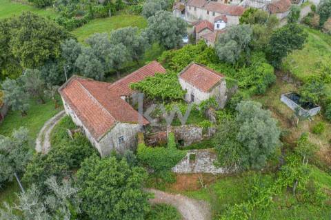 Alpendre, Palheiro, Moinho e Terreno de Cultivo em Asnela  - Cabeceiras de Basto