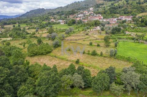 Alpendre, Palheiro, Moinho e Terreno de Cultivo em Asnela  - Cabeceiras de Basto