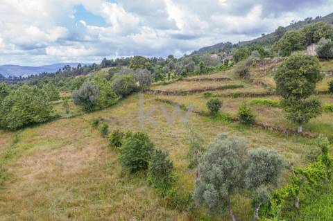 Alpendre, Palheiro, Moinho e Terreno de Cultivo em Asnela  - Cabeceiras de Basto