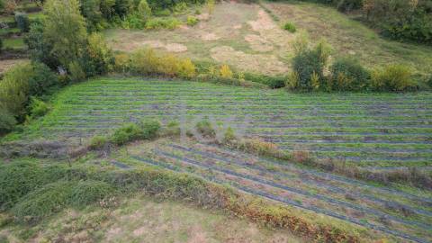 Terreno em Águas Santas Póvoa de Lanhoso