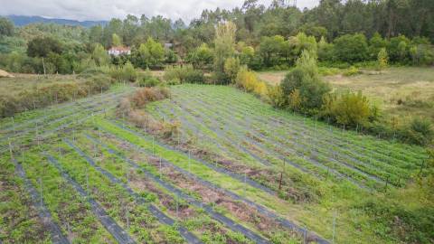 Terreno em Águas Santas Póvoa de Lanhoso