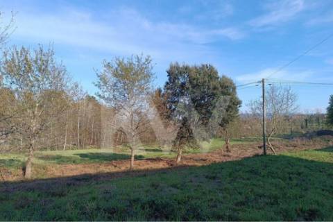 Terreno para construção em Loureira, Vila Verde